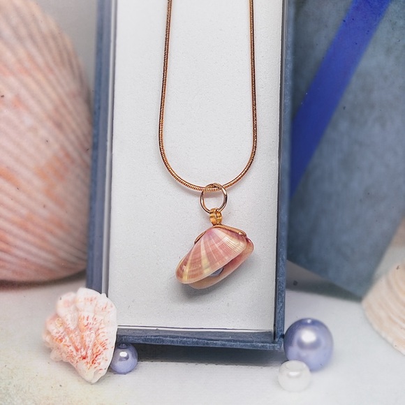 Coquiña shell pendant necklace locket with pearl - Picture 4 of 6